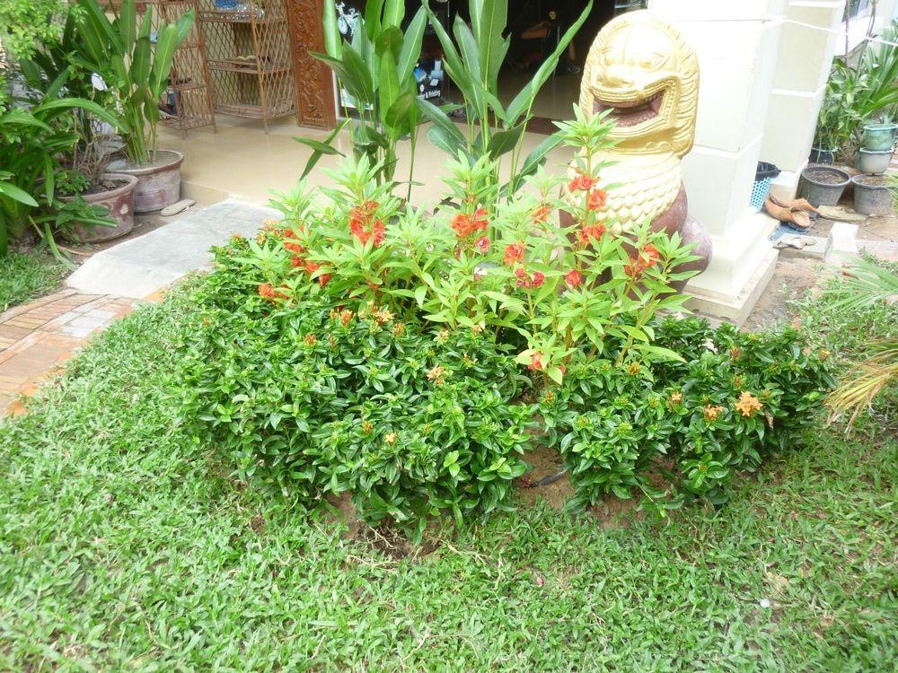 Angkor Reas Guesthouse Siem Reap Luaran gambar