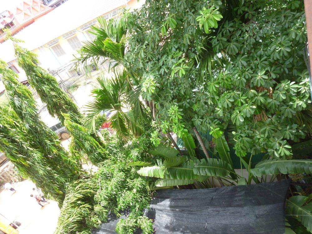 Angkor Reas Guesthouse Siem Reap Luaran gambar
